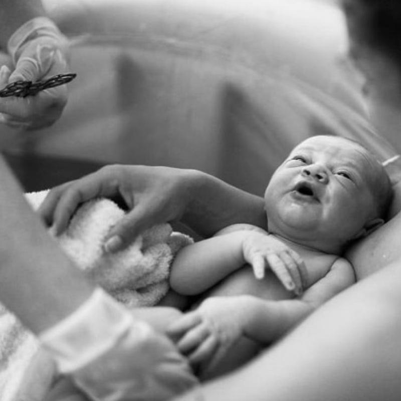 img_description-image-et-texte